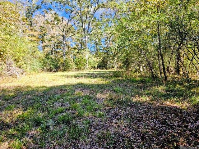 Land for sale in Saint Francisville, Louisiana