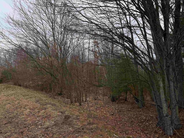Land for sale in New Hampshire