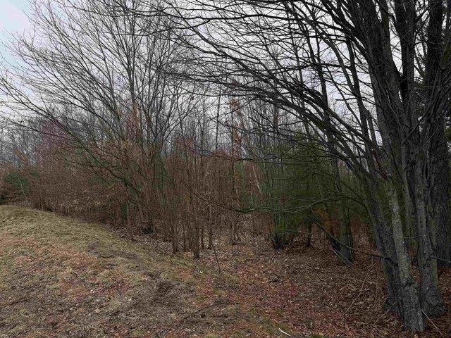 Land for sale in New Hampshire
