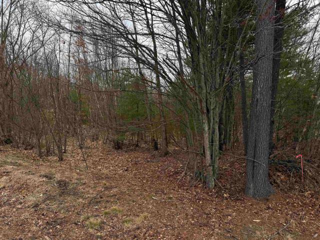 Land for sale in New Hampshire