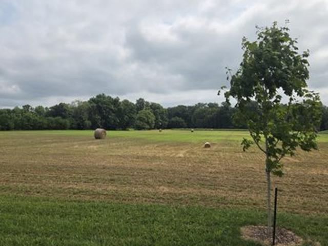 Land for sale in Lizton, Indiana