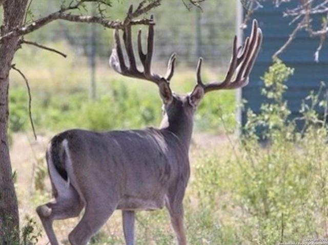 Farm for sale in Edwards, Texas