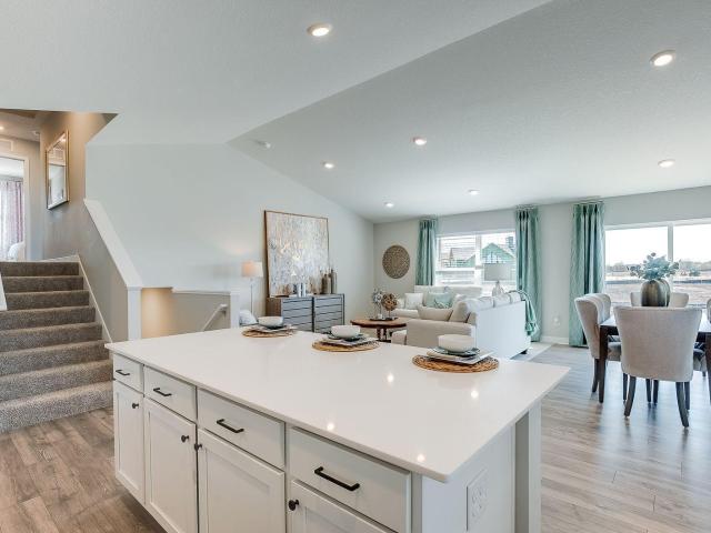 House for sale in Cottage Grove, Minnesota