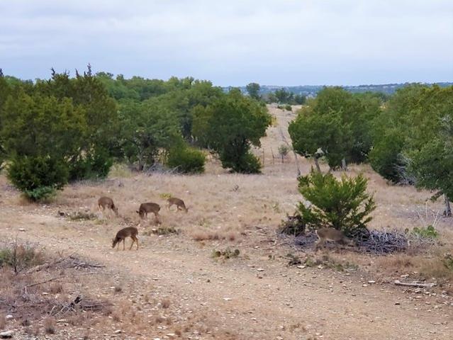 Farm for sale in Junction, Texas