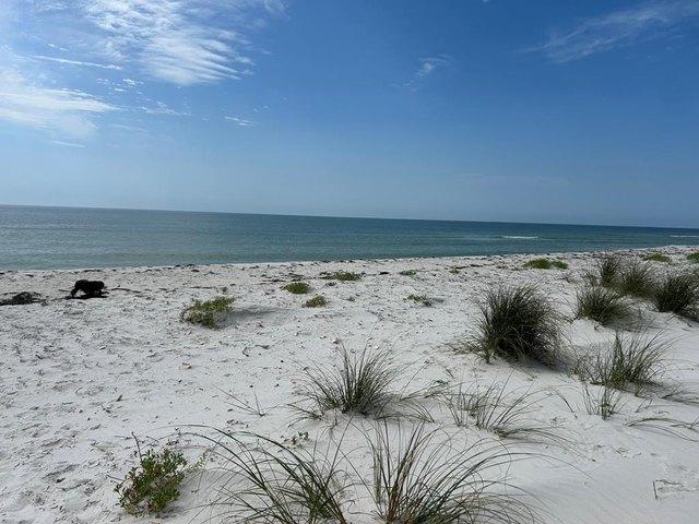 Land for sale in Carrabelle, Florida