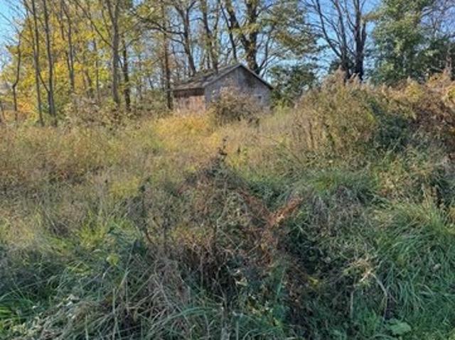 Land for sale in Waverly, Ohio