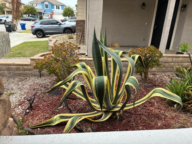 House for sale in Fillmore, California