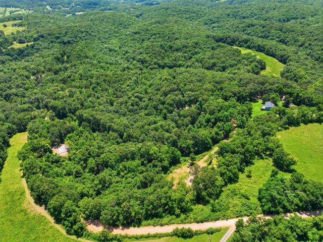 Land for sale in Anderson, Missouri