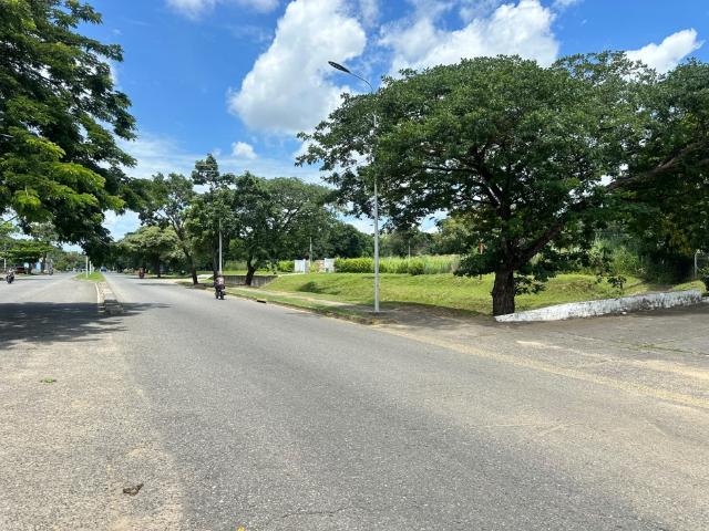 Terreno en venta en Gua, Portuguesa