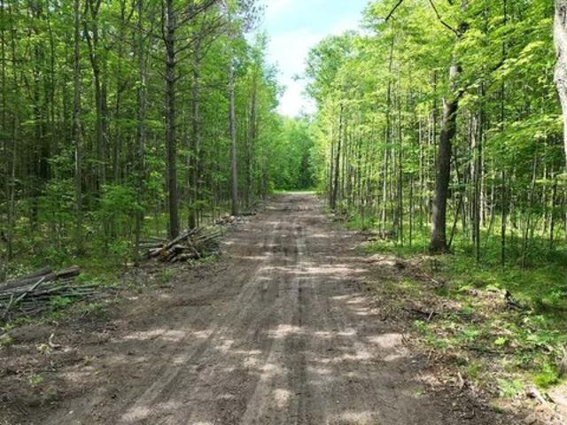 Land for sale in Roscommon, Michigan