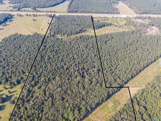 Land for sale in Alabama