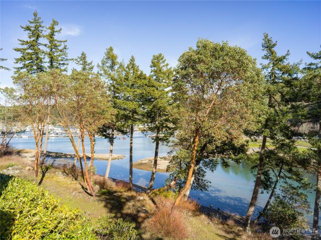 Condo for sale in Roche Harbor, Friday Harbor