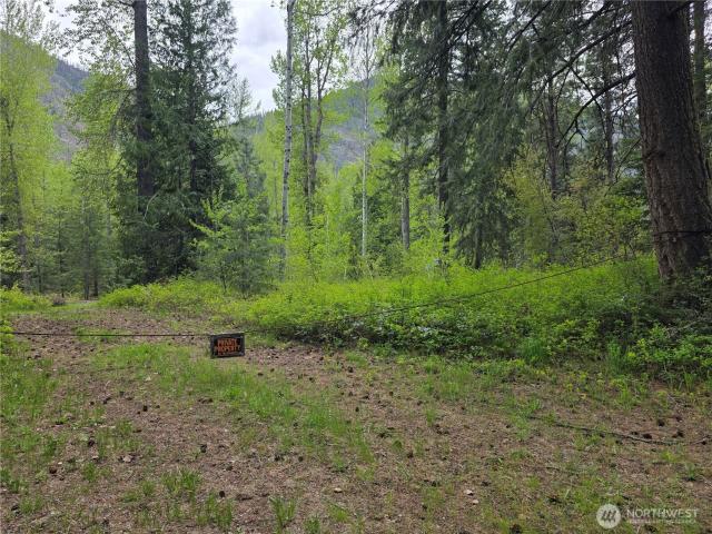 Land for sale in Mazama, Washington