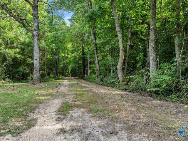 Land for sale in Collinsville, Alabama