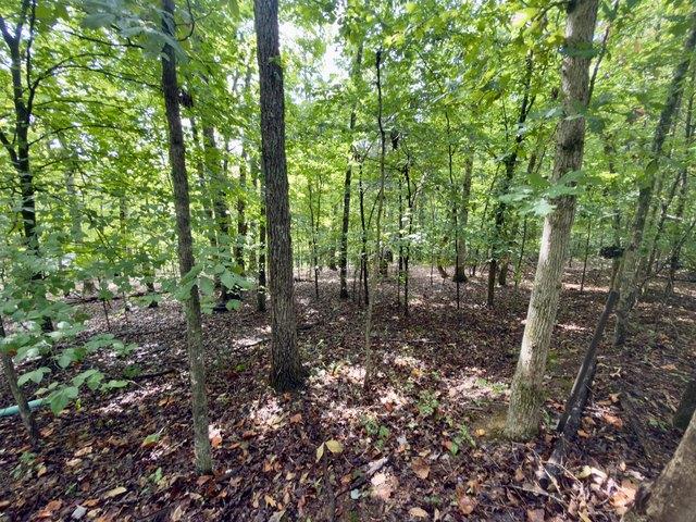 Land for sale in Monticello, Kentucky