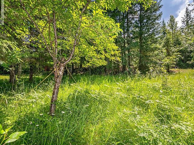 Land for sale in British Columbia