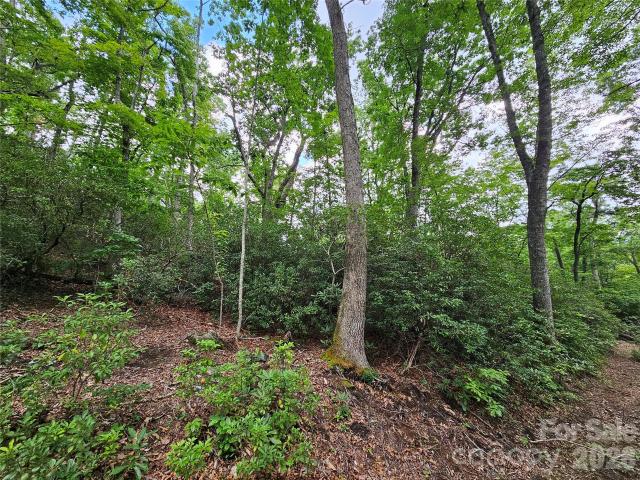 Land for sale in Yancey, North Carolina