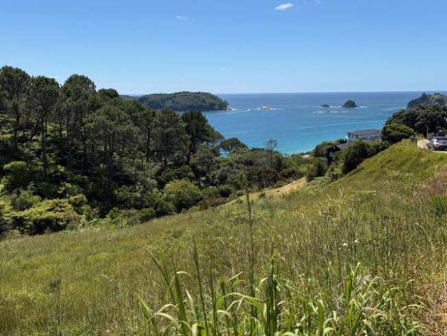 Land for sale in Hahei, Waikato