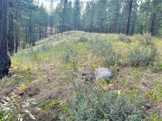 Land for sale in Winthrop, Washington