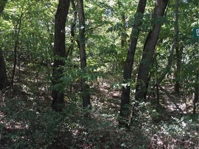 Land for sale in Kansas