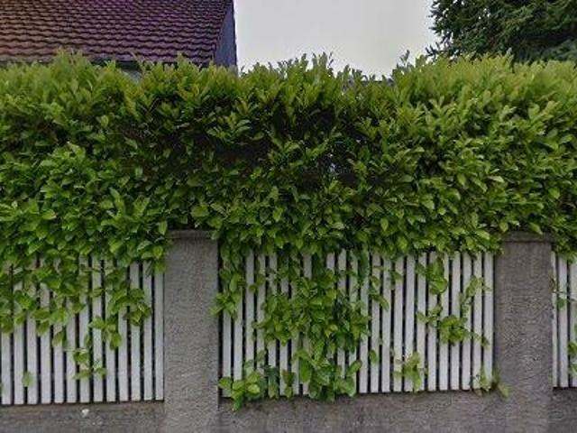 Apartment mieten in Rheinfelden, Aargau