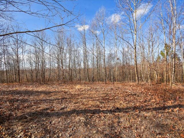 Land for sale in Tennessee