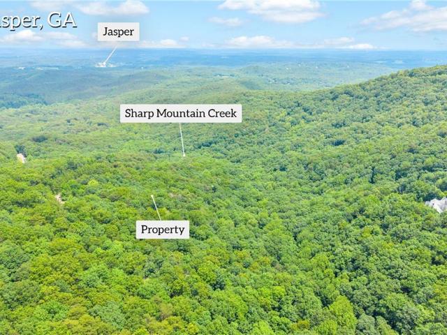 Land for sale in Pickens, Georgia