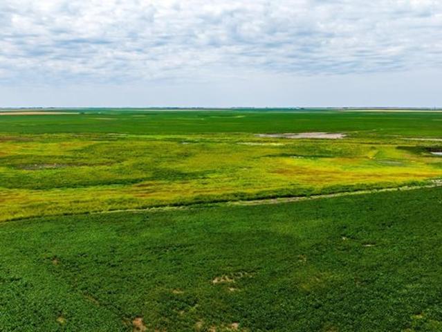 Land for sale in Bottineau, Bottineau County