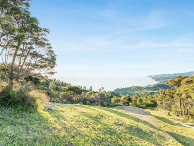 Land for sale in Tapu, Waikato