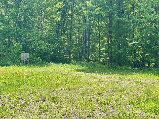 Land for sale in Altmar, New York