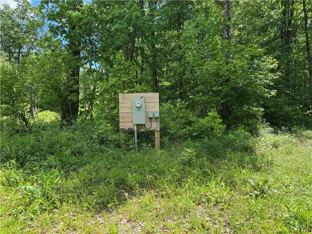Land for sale in Orwell, New York