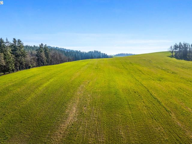 Land for sale in Oregonia