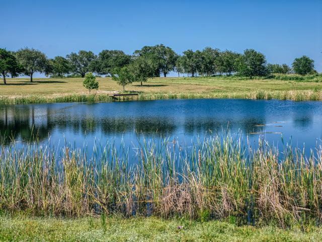 Land for sale in Burton, Texas