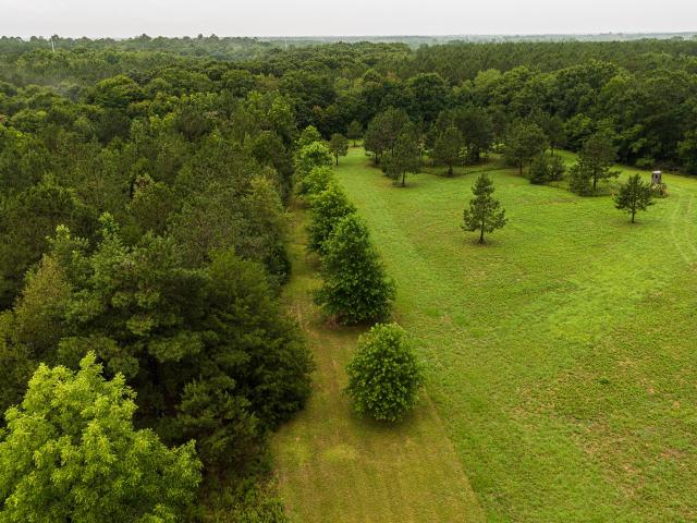 Land for sale in Americus, Georgia