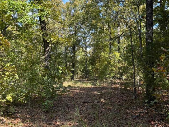 Land for sale in Evening Shade, Izard County