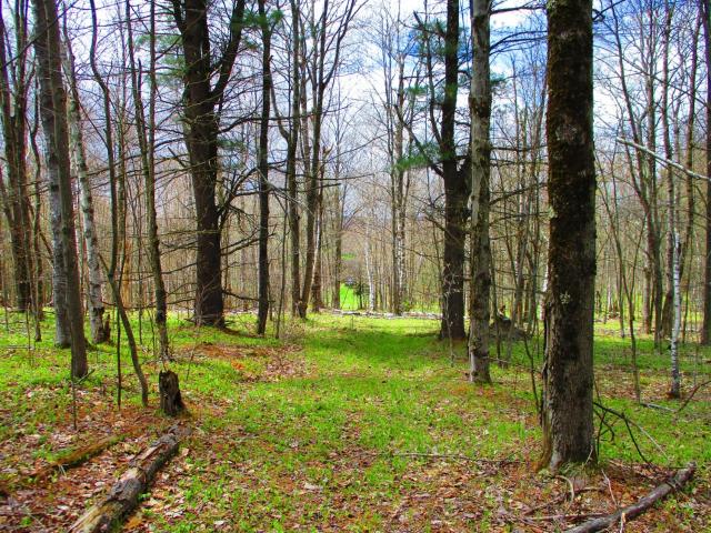 Land for sale in Maryland, New York