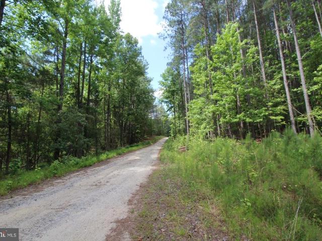 Land for sale in Virginia