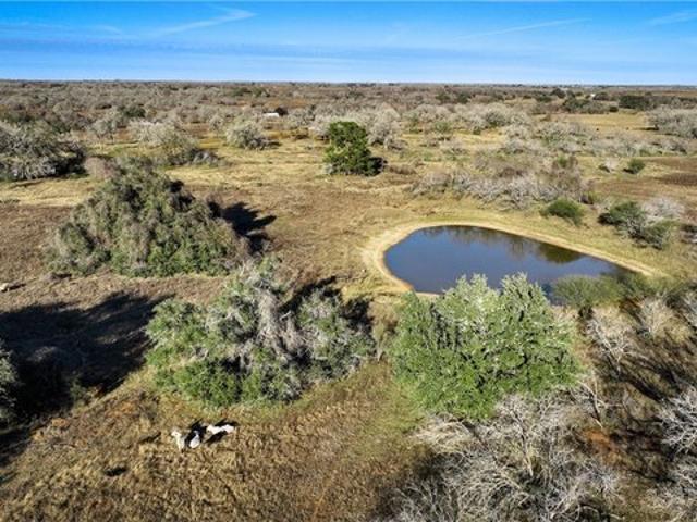 Farm for sale in Nixon, Texas