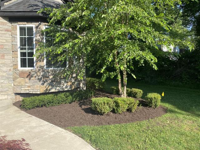 Property for rent in Livonia, Michigan