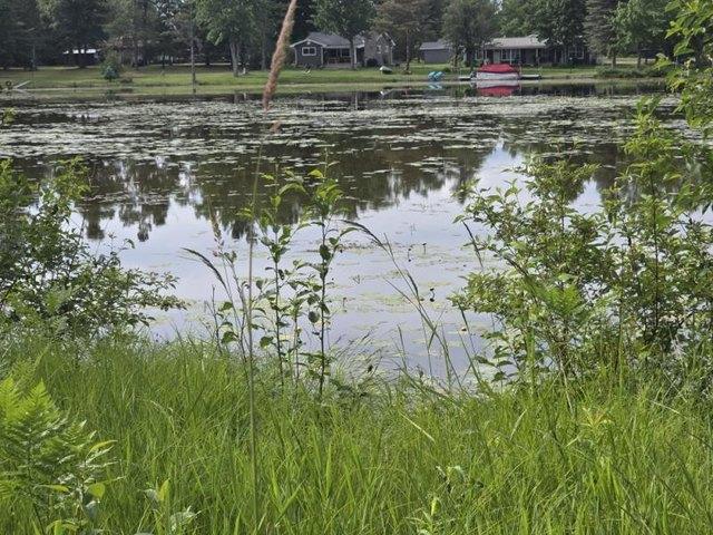 Land for sale in Atlanta, Michigan
