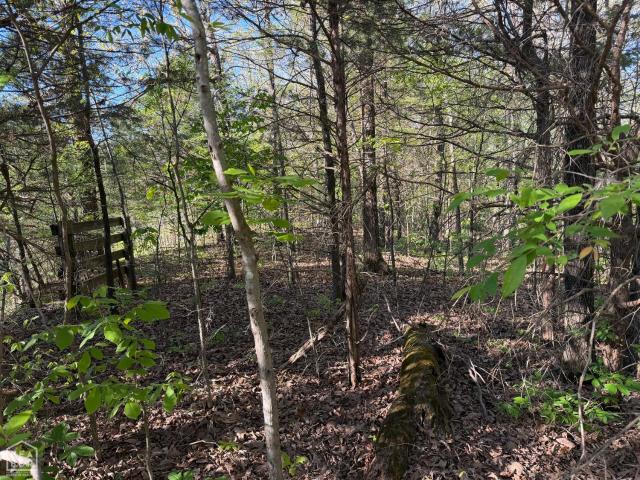 Farm for sale in Piggott, Clay County