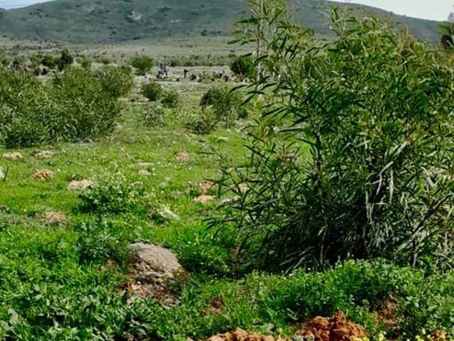 Land for sale in Western Cape