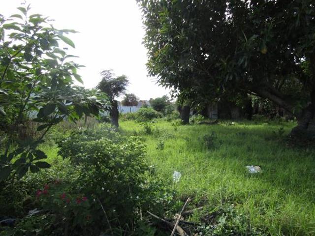 Land for sale in Cape St Francis, Eastern Cape