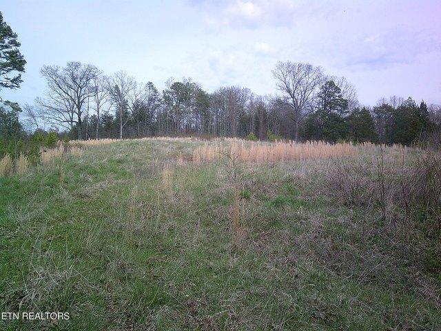 Land for sale in Tennessee