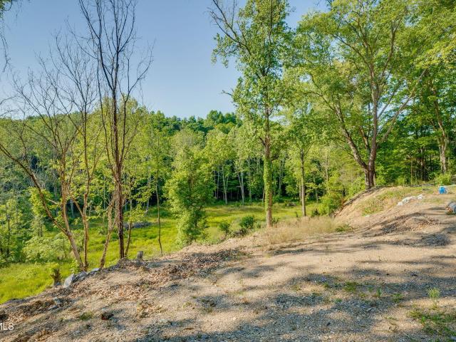 Land for sale in Tennessee