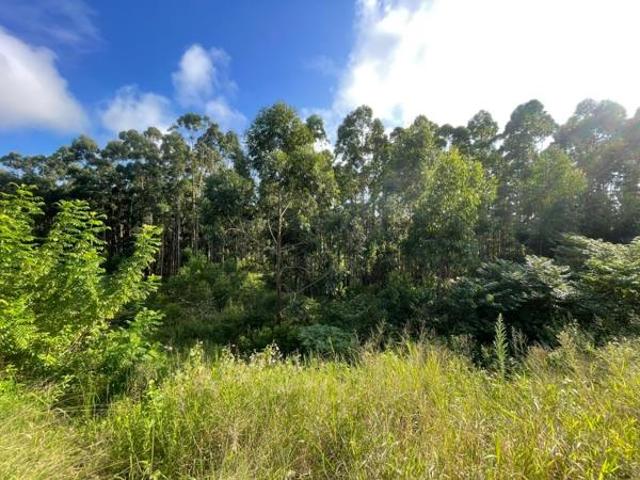 Land for sale in Princess Grant, Kwazulu-natal