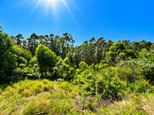 Land for sale in Ballito, KwaDukuza Local Municipality