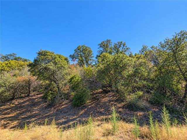 Land for sale in Lake, California