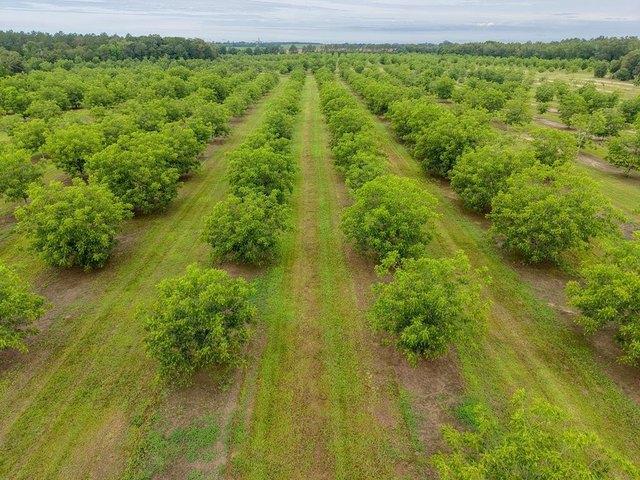 Farm for sale in Baconton, Mitchell County