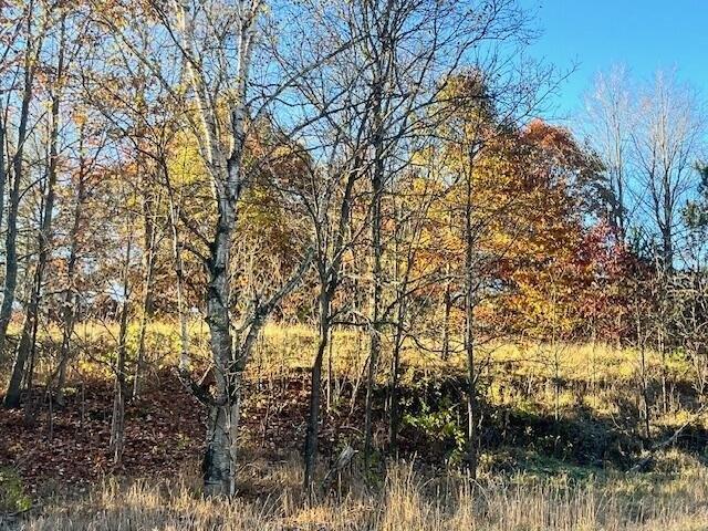 Land for sale in Copemish, Michigan
